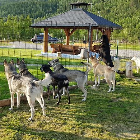 فيلا Visit Junkerdal المظهر الخارجي الصورة